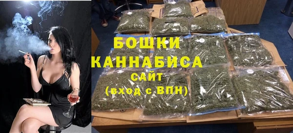 тгк Ельня